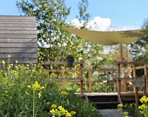 Gezellig terras bij Vakantiehuisje in Westergeest, omringd door bloeiende natuur.