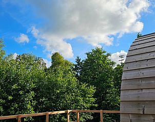 Uitzicht op de groene omgeving vanuit Vakantiehuisje in Westergeest, Friesland.