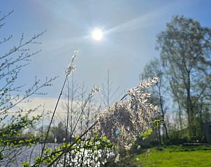Stralende zon boven het Friese platteland bij Vakantiehuisje in Westergeest.