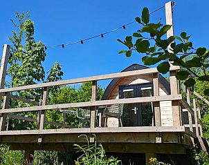 Veranda van Vakantiehuis in Westergeest met uitzicht op het Friese platteland in Friesland.