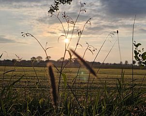 Zonsondergang over de velden bij Vakantiehuis in Westergeest, een serene ervaring in Friesland.