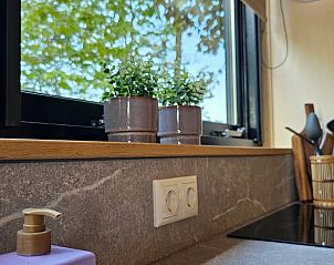 Detail van de keuken in Huisje in Westergeest, met planten en moderne inrichting.