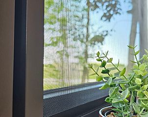 Groen uitzicht vanuit het raam van Huisje in Westergeest, met decoratieve plant.