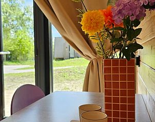 Gezellige eethoek in Huisje in Westergeest, Friesland, met bloemen en buitenzicht.