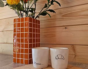 Kleurrijke bloemdecoratie in Huisje in Westergeest, vakantieaccommodatie in Friesland.