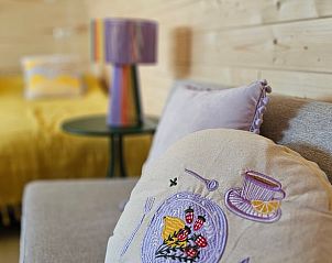 Comfortabele zithoek in Huisje in Westergeest, Friesland, met decoratieve kussens.