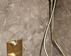 Douche met gouden accenten in Vakantiehuis in Westergeest, Friesland.