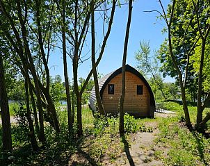 Huisje in Westergeest, omgeven door bomen op het Friese platteland, ideale vakantieaccommodatie.