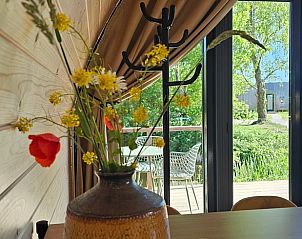 Verblijf 260319 - Vakantiewoning Het Friese platteland - Vakantiehuis in Westergeest