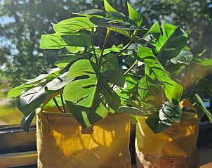 Verblijf 260319 - Vakantiewoning Het Friese platteland - Vakantiehuis in Westergeest