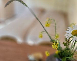 Verblijf 260319 - Vakantiewoning Het Friese platteland - Vakantiehuis in Westergeest