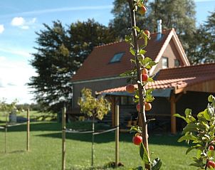 Tuin van Huisje in Scherpenzeel met fruitbomen en landelijke charme in Friesland.
