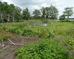 Groentetuin in de omgeving van Vakantiehuis in Scherpenzeel, Friesland met uitzicht op het platteland.