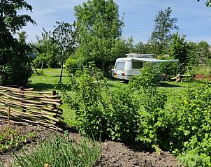 Groene tuin en buitenruimte bij Vakantiehuis in Scherpenzeel, ideaal voor ontspanning.