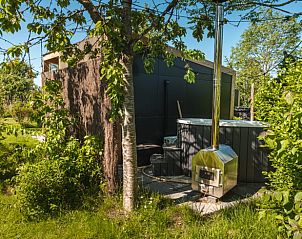 Rustige tuin bij Vakantiehuis in Scherpenzeel, omgeven door de natuur van Friesland.