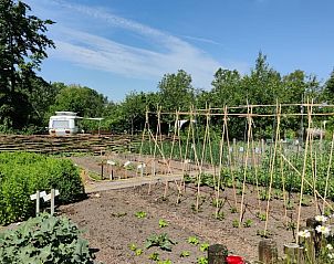 Groentetuin bij Vakantiehuis in Scherpenzeel, beleef de Friese landbouw.