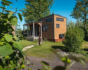 Groene omgeving rond Huisje in Scherpenzeel, vakantieaccommodatie in Friesland.