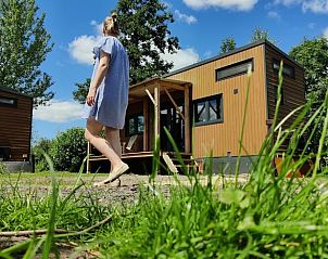 Wandelpad naar Huisje in Scherpenzeel, vakantieaccommodatie in Friesland.