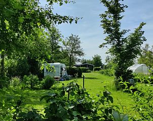 Groene campingomgeving bij Vakantiehuis in Scherpenzeel, Friesland.