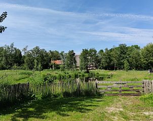 Landelijk uitzicht bij Vakantiehuis in Scherpenzeel, Friesland.