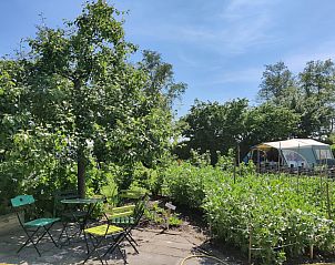 Guest house 260522 - Holiday property Het Friese platteland - �Large Green House�