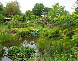 Weelderige tuin met vijver en bloemen bij Huisje in Blesdijke, Friese platteland.