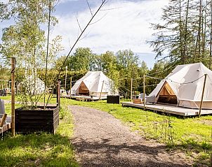 Huisje in Blesdijke, serene opstelling van safaritenten in het groene Friese landschap.