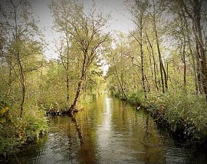 Prachtige natuurlijke omgeving bij Vakantiehuisje in Blesdijke, gelegen op het serene Friese platteland.