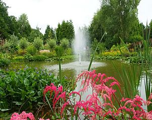 Bloemrijke tuin in de buurt van Vakantiehuisje in Blesdijke, geniet van de natuur in Friesland.
