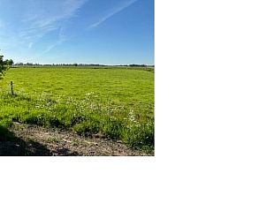 Uitzicht op de groene velden vanaf Vakantiehuisje in Blesdijke, gelegen op het Friese platteland in Friesland, omringd door natuur.