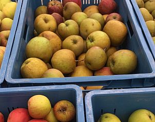 Verblijf 2610002 - Vakantiewoning Het Friese platteland - Vakantiehuis in Boer