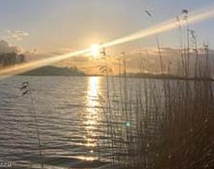 Unterkunft 2610311 - Ferienhaus Het Friese platteland - Vakantiehuis in Idskenhuizen