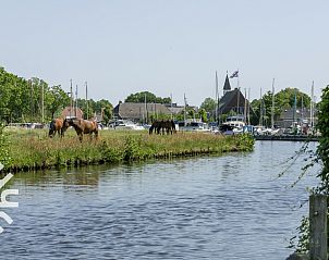 Guest house 2610317 - Holiday property Het Friese platteland - FR631