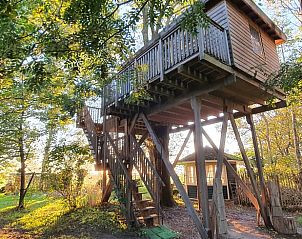 Vakantiehuisje in Easterein met houten boomhut en trap bij zonsondergang in Friesland.