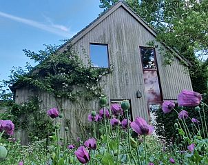 Buitenkant van vakantiehuis Huisje in Easterein, omringd door bloemen en groen, op het Friese platteland in Friesland.