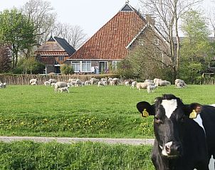 Verblijf 2610702 - Vakantiewoning Het Friese platteland - Huisje in Hiaure (vlakbij Dokkum)