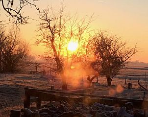 Sfeervolle zonsopgang bij Vakantiehuisje in Mantgum, Friesland, met bomen en een warme gloed over het landschap.