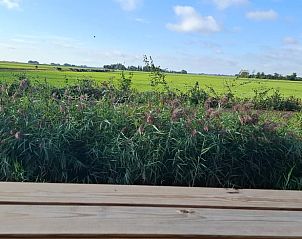 Unterkunft 2611804 - Ferienhaus Het Friese platteland - Huisje in Hallum