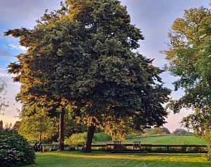 Schaduwrijke tuin van Vakantiehuis in Bantega, Friesland, perfect voor ontspanning in de natuur.
