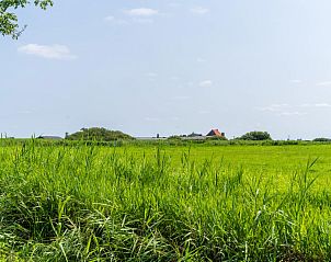 Uitgestrekt groen landschap rondom Sluisje 54, vakantieaccommodatie in Bantega, Friesland.