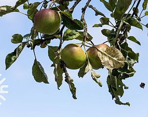 Slaapkamer met ensuite badkamer in FR449 vakantiehuis, Bantega, Friesland.