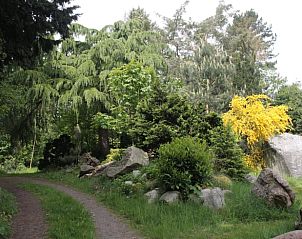 Groene omgeving met wandelpaden bij Vakantiehuis in Oldeholtpade, Friesland.