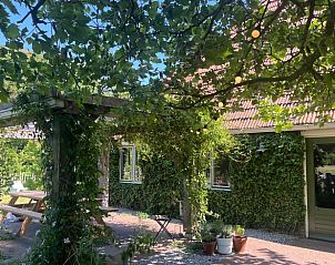 Guest house 2612605 • Holiday property Het Friese platteland • Vakantiehuisje in Oldeholtpade 