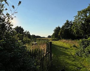 Rustiek wandelpad naast Vakantiehuisje in Oldeholtpade, ideaal voor natuurliefhebbers op het Friese platteland in Friesland.