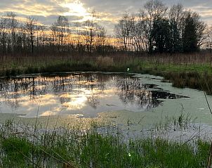 Sereen vijverlandschap bij Vakantiehuisje in Oldeholtpade, een rustgevende plek op het Friese platteland in Friesland.