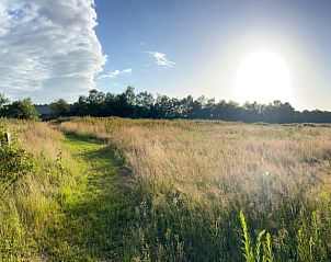 Zonnige weide bij Vakantiehuisje in Oldeholtpade, ideaal voor wandelingen op het Friese platteland in Friesland.