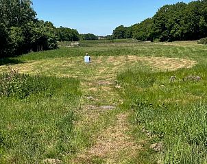Uitgestrekte velden bij Vakantiehuisje in Oldeholtpade, een plek voor rustzoekers op het Friese platteland in Friesland.