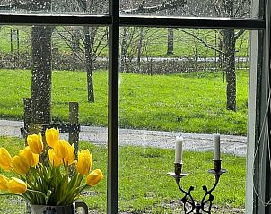 Gezellige vensterbank met tulpen in Vakantiehuisje in Oldeholtpade, met uitzicht op het Friese platteland in Friesland.