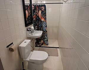 Praktische badkamer met douche in Vakantiehuisje in Oldeholtpade, voor een comfortabel verblijf op het Friese platteland in Friesland.