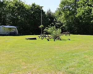 Grote groene tuin bij Vakantiehuisje in Oldeholtpade, ideaal voor kamperen op het Friese platteland in Friesland.